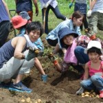 7月26日　真夏のジャガイモ掘り大会